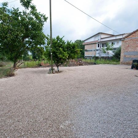 B&B Tra Gli Ulivi Rocca San Giovanni Dış mekan fotoğraf