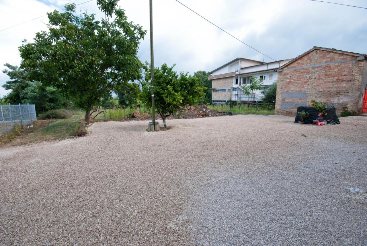 B&B Tra Gli Ulivi Rocca San Giovanni Dış mekan fotoğraf