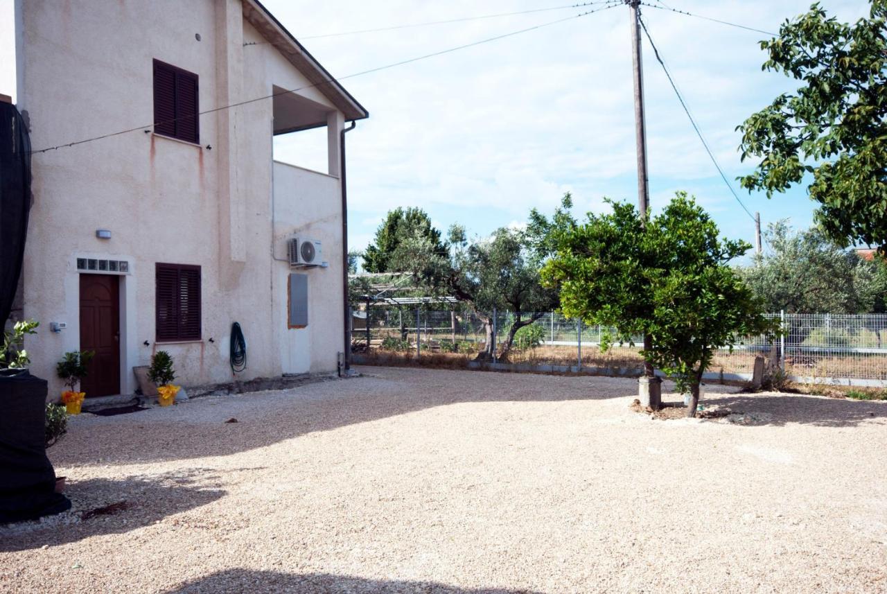 B&B Tra Gli Ulivi Rocca San Giovanni Dış mekan fotoğraf